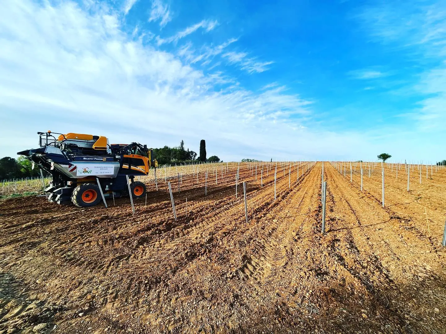 Machine de plantation de piquets dans une parcelle préparée